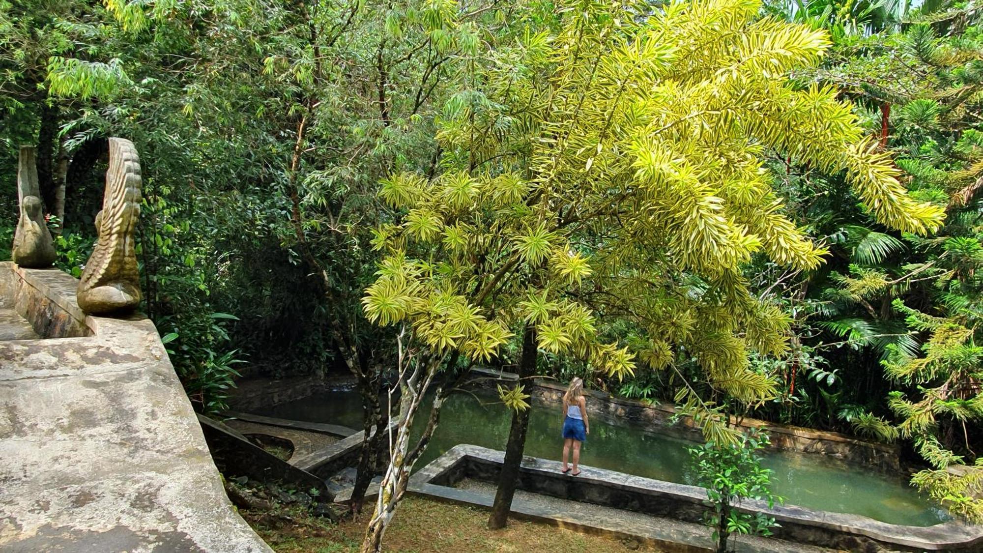 Singharaja Garden Agro Eco Lodge Pelawatta  Экстерьер фото