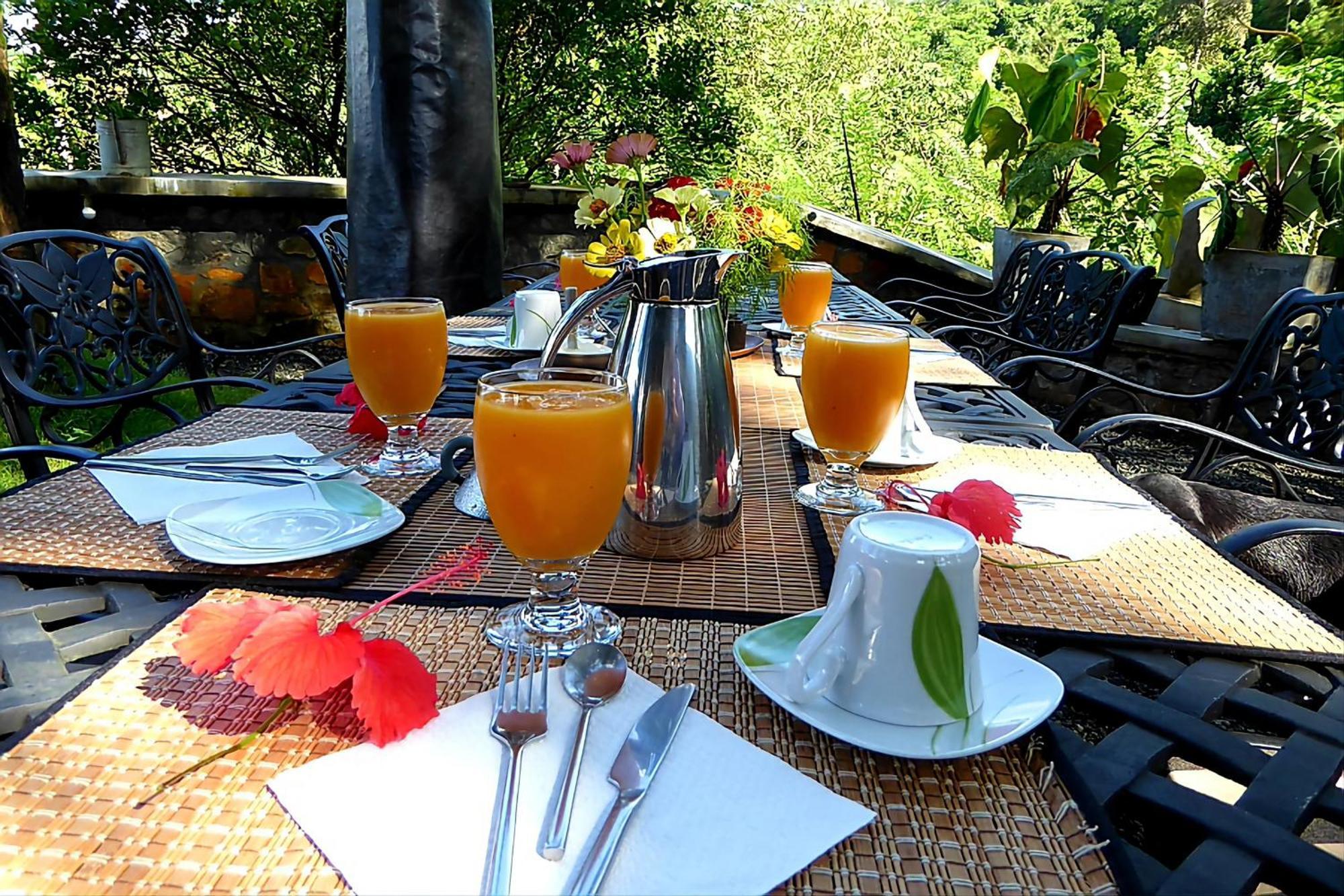 Singharaja Garden Agro Eco Lodge Pelawatta  Экстерьер фото