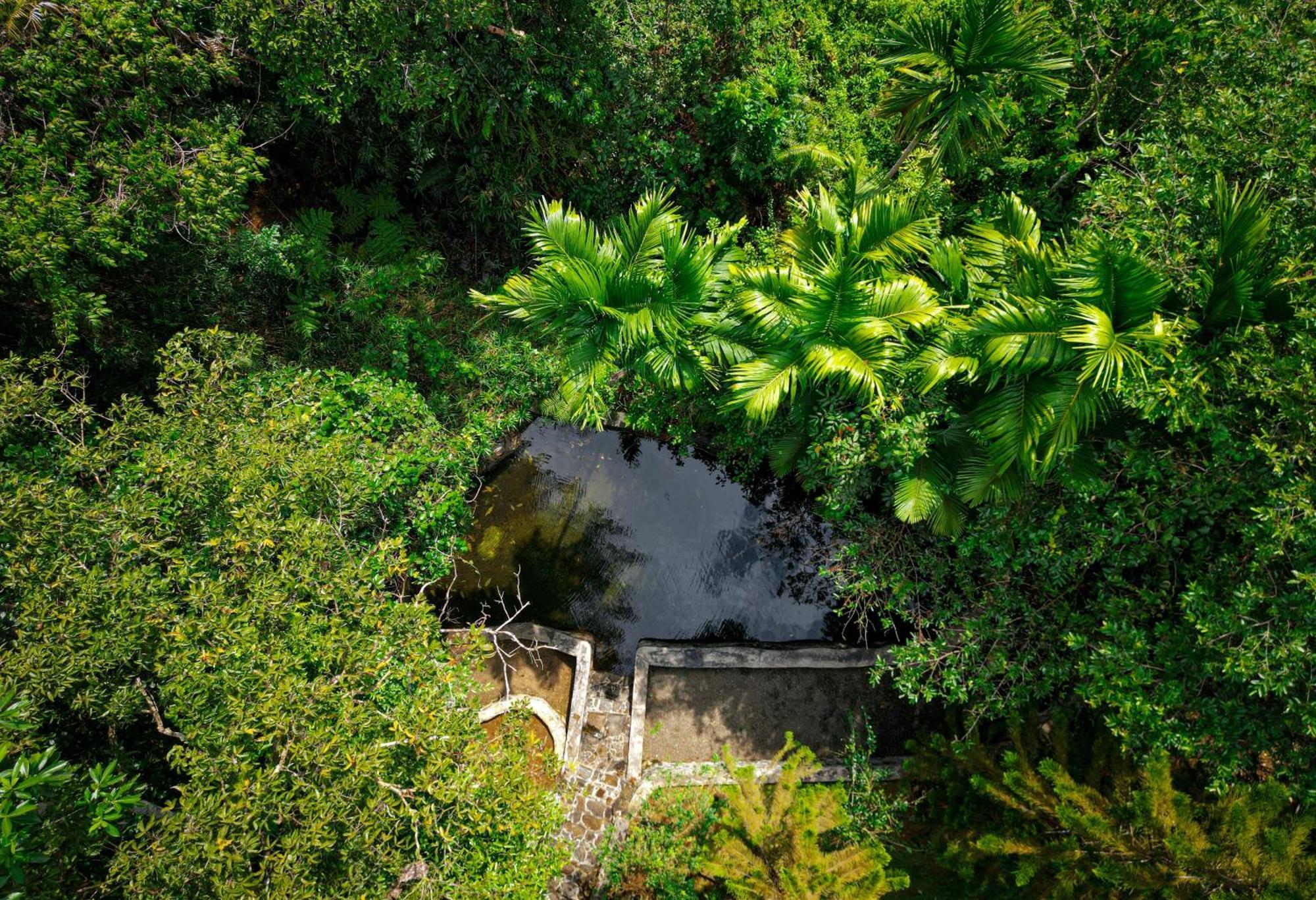 Singharaja Garden Agro Eco Lodge Pelawatta  Экстерьер фото
