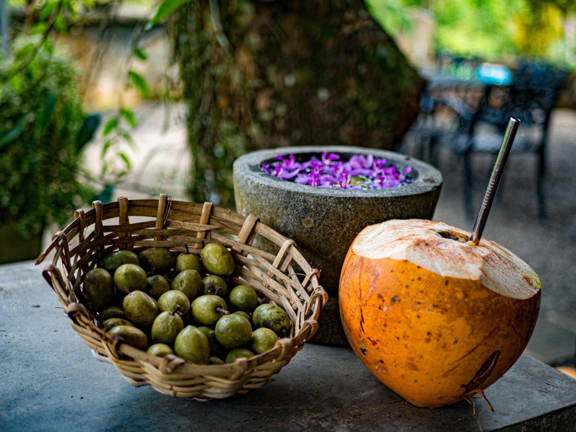 Singharaja Garden Agro Eco Lodge Pelawatta  Экстерьер фото