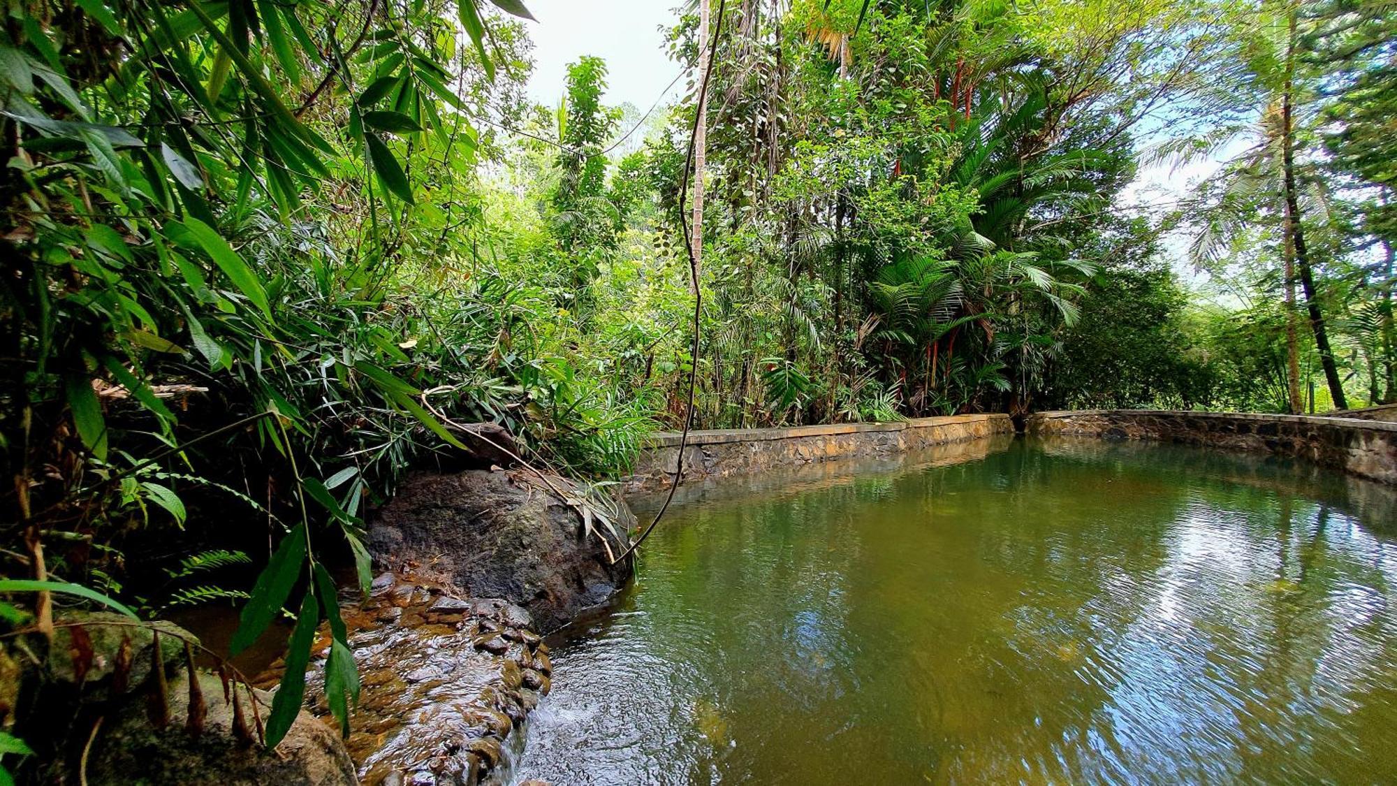Singharaja Garden Agro Eco Lodge Pelawatta  Номер фото